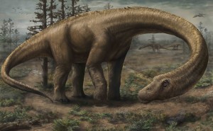 Dreadnoughtus reconstruction by Jennifer Hall
