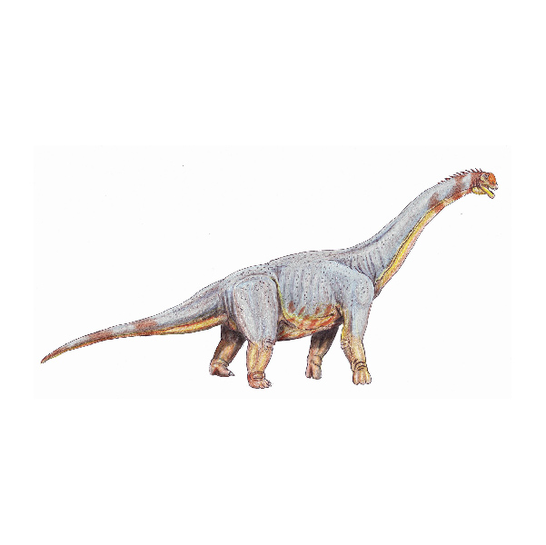 Paralititan: A Giant Sauropod Dinosaur from an Upper Cretaceous Mangrove Deposit in Egypt