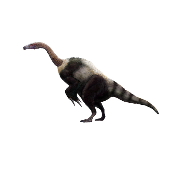 Suzhousaurus: A Large Therizinosauroid (Dinosauria: Theropoda) from the Early Cretaceous of Northwestern China